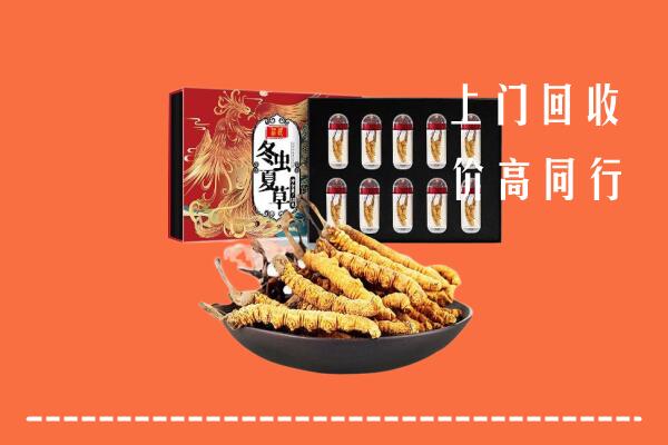 收购行情：宿迁市回收虫草